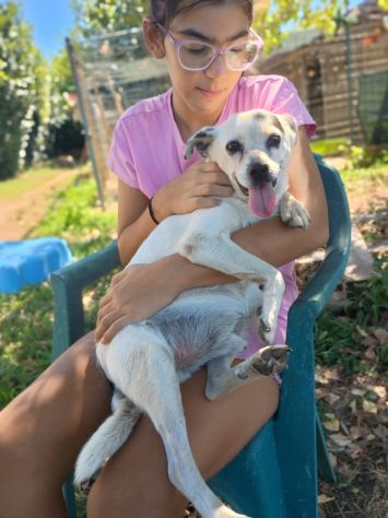 FIOCCO - cagnolino di 9 anni - Foto 3