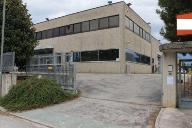 Immobile in asta di 4048 m² con più di 5 locali in vendita a Montegranaro - Foto 2