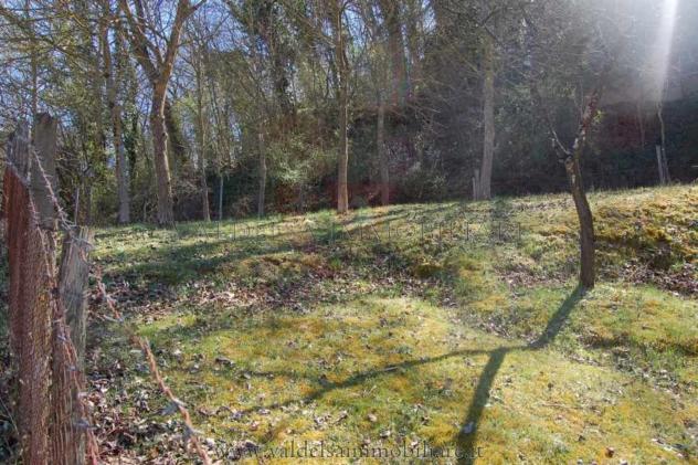Terreno agricolo in vendita a Colle di Val d'Elsa 3000 mq  Rif: 888619