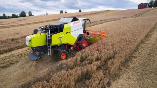 FIUMICINO, CASALE CON TERRENO AGRICOLO IN VENDITA - Foto 7