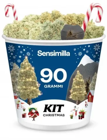 Christmas Kit - 90g