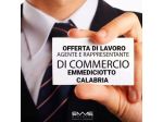 Consulente Commerciale