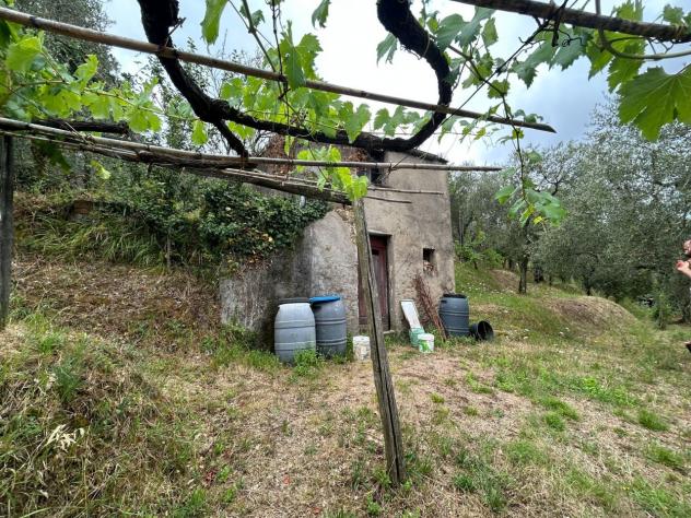 Agricolo in vendita a Arcola - Foto 3