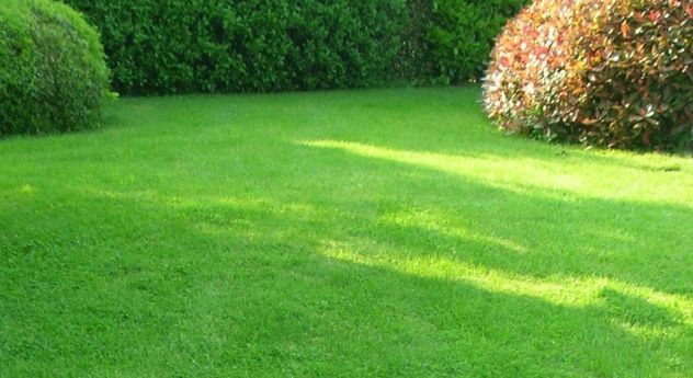 GIARDINIERE ECONOMICO - Foto 4
