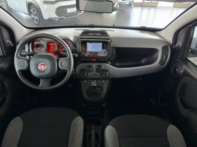 Fiat Panda 1.0 S&S Hybrid City Life - Foto 8