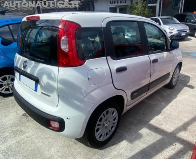 FIAT Panda 1.0 FireFly S&S Hybrid Icon 70cv rif. 24097576 - Foto 3