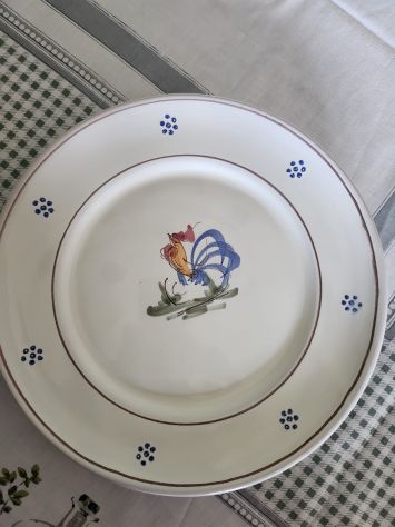Servizio piatti galletto - Foto 3