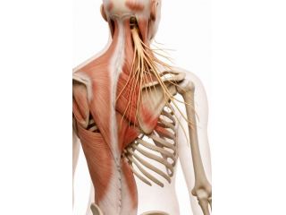 Massaggi - benessere Aprilia - DOTT.SSA CHINESIOLOGA Tel:3793616611