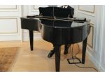 Pianista per matrimoni ed eventi Alessandria, Oviglio, Casale