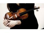 Violinista professionista