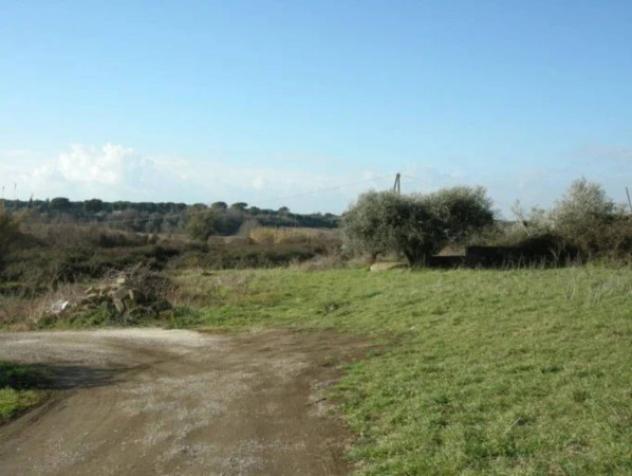 Immobile in asta di 6756 m² in vendita a Marino - Foto 10