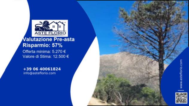 Immobile in asta di 62845 m² in vendita a Monreale