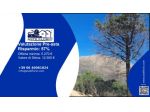 Immobile in asta di 62845 m² in vendita a Monreale