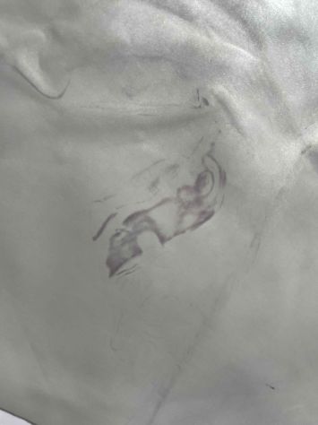 Pellame bianco panna bottalato per creazioni artistiche - Foto 7
