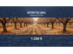 Immobile in asta di 892 m² in vendita a Bitritto