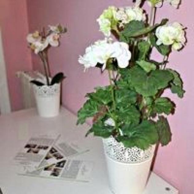 Casa Laura - Foto 3