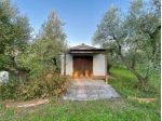 Agricolo in vendita a Cecina