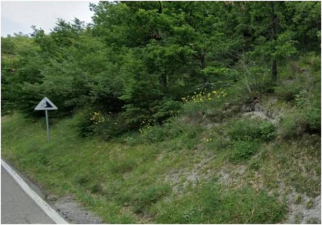 Immobile in asta di 12887 m² in vendita a Loiano - Foto 2