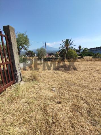Terreno Edificabile in vendita a Motta Sant'Anastasia - Foto 4