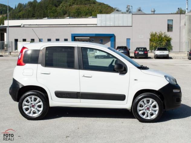 FIAT Panda 1.3 MJT S&S 4x4 CLIMBING VAN 2 POSTI AUTOCARRO rif. 24190601 - Foto 7