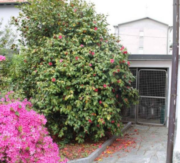 Immobile in asta di 303 m² con più di 5 locali e box auto doppio in vendita a Gallarate - Foto 3
