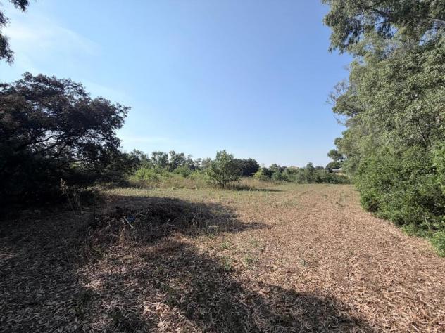Agricolo in vendita a Aprilia - Foto 11