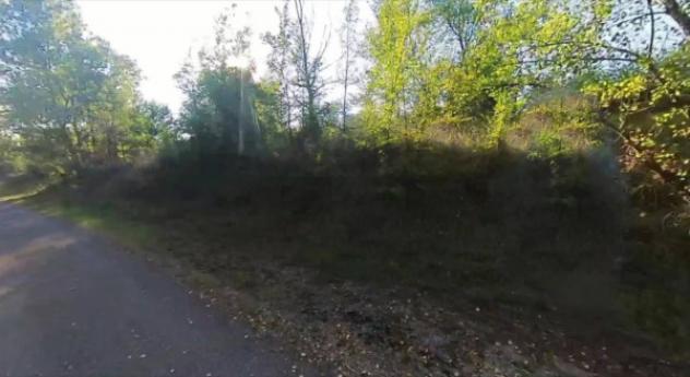 Immobile in asta di 9967 m² in vendita a Castellarano - Foto 3
