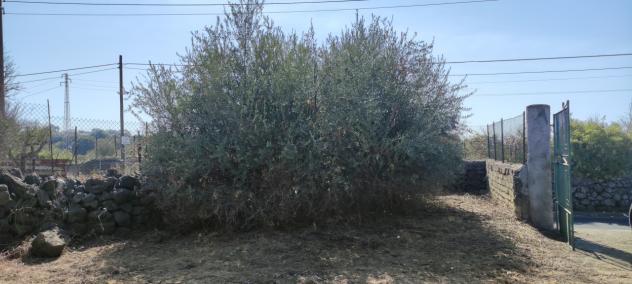 Agricolo in vendita a Misterbianco - Foto 15