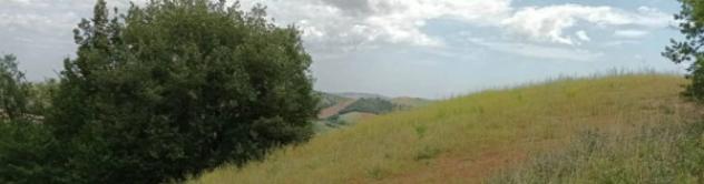 Immobile in asta di 460383 m² in vendita a Penne - Foto 17