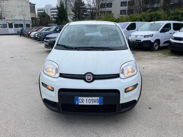 FIAT Panda Panda 1.0 FireFly S&S Hybrid - Foto 2