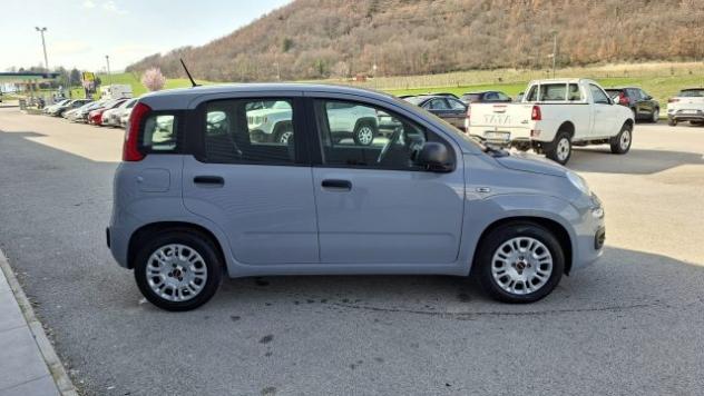 FIAT Panda 1.0 FireFly Hybrid City Life LEGGE 104 IVA ESPOSTA rif. 23401849 - Foto 4