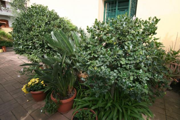 Villa in vendita a Marina di Carrara - Carrara 200 mq Rif: 1309585 - Foto 3