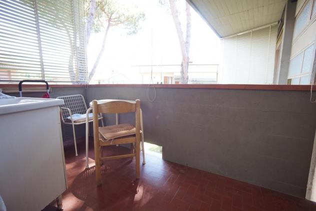 Appartamento in vendita a Ronchi - Massa 48 mq Rif: 1328931 - Foto 3