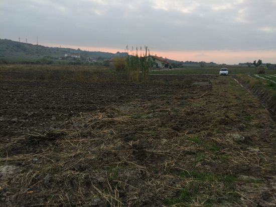 Capaccio Paestum loc. Scigliati Terreno agricolo - Foto 4