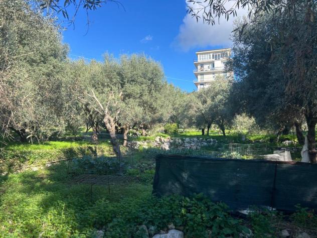 Agricolo in vendita a Siracusa