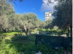 Agricolo in vendita a Siracusa