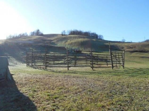 Immobile in asta di 12503 m² in vendita a Viano - Foto 4