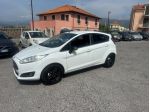 Ford Fiesta 1.5 TDCi 75CV 5 porte Titanium