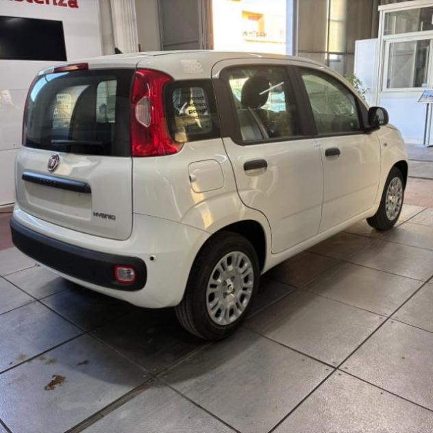FIAT Pandina 1.0 FireFly 65 CV Hybrid Pop rif. 23614024 - Foto 4