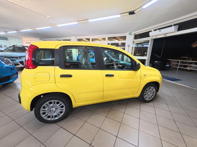 FIAT Panda 3ª serie 1.0 FireFly S&S Hybrid - Foto 8