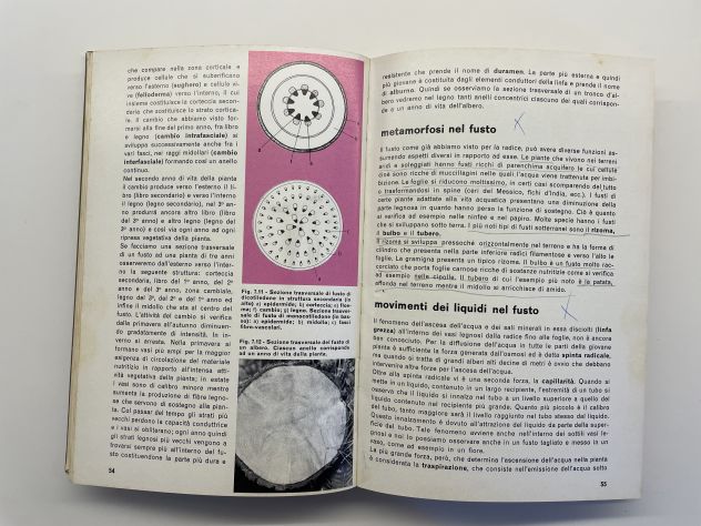 Elementi di biologia 1, Giuseppe Cognetti, edizioni Calderini (1972) - Foto 6
