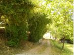 Scarperia vendesi azienda agricola 15 vani 290 Mq