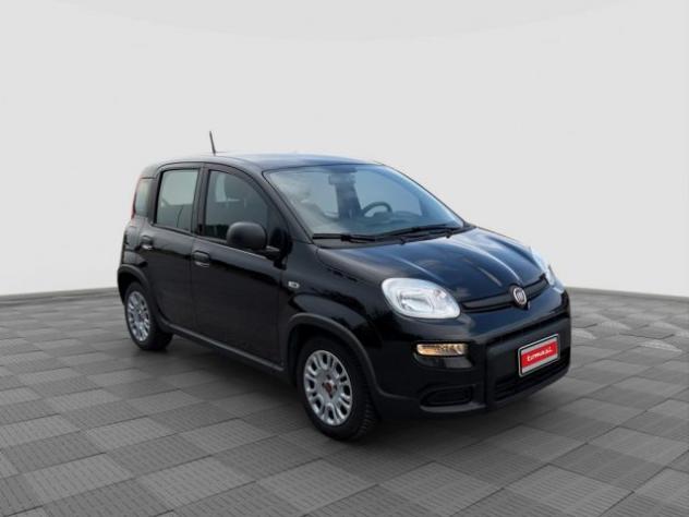 FIAT Panda Panda 1.0 FireFly S&S Hybrid rif. 24078706 - Foto 7