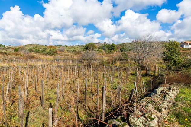 Terreno in vendita a Biancavilla - Foto 17