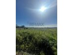 Terreno in vendita a Portopalo di Capo Passero