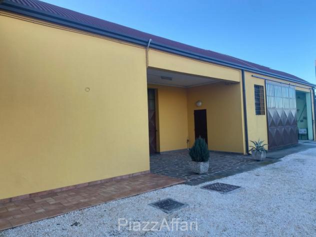 Capannone a Piove di Sacco - Rif. PDS394 - Foto 2