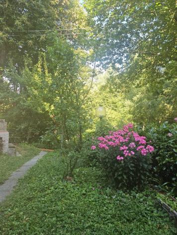 Villetta a schiera in vendita a Femminamorta - Marliana 60 mq Rif: 1429186 - Foto 3