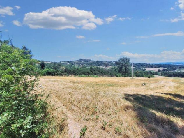 Immobile in asta di 221655 m² in vendita a Monte Castello di Vibio - Foto 13