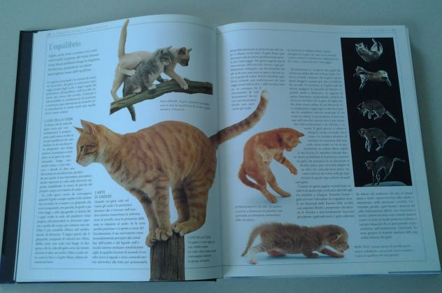 Il libro completo del gatto - Foto 4