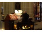 Organista Milano (per matrimoni e funerali)